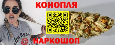 бошки Кингисепп