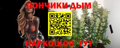 бошки Кингисепп