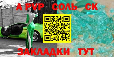 бошки Кингисепп