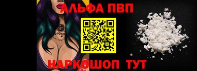 бошки Кингисепп