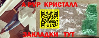бошки Кингисепп